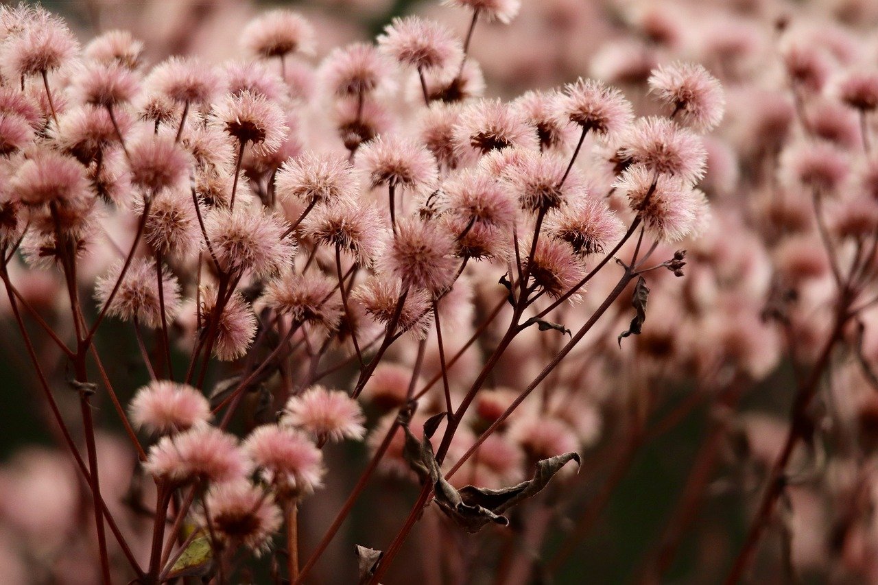 “短信广告：如何与客户建立良好的沟通？”