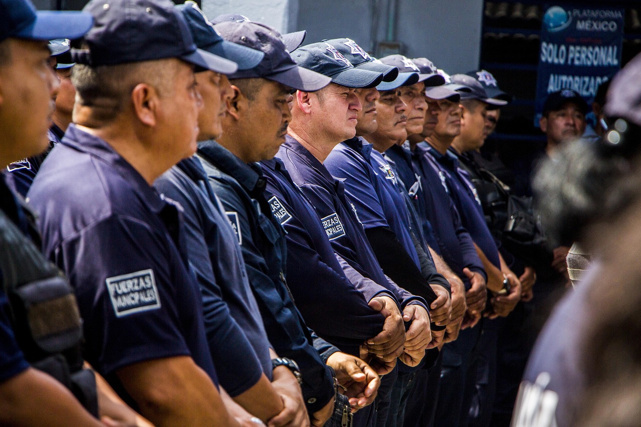 如何通过SEO和数据智能增强营销效果