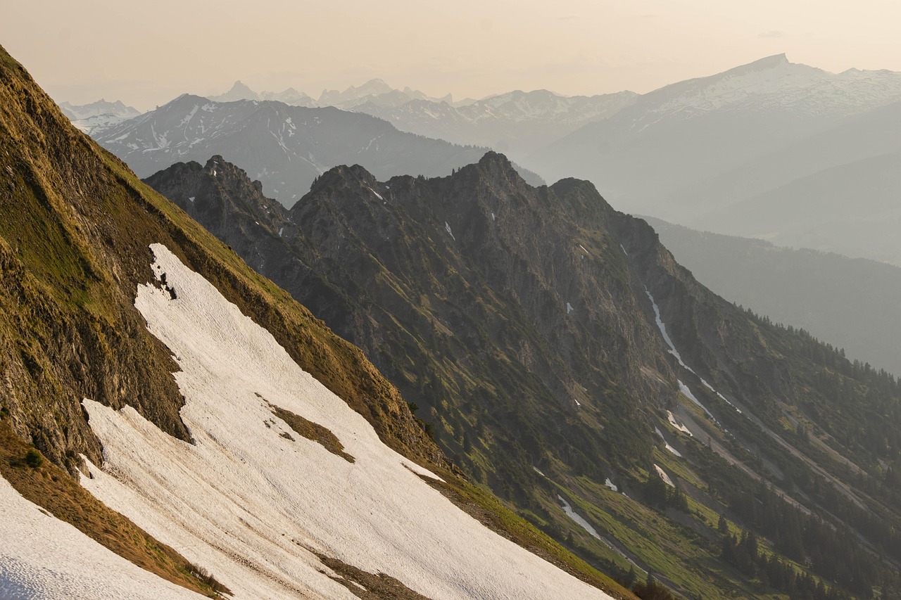 DDOS平台|郸城注册公司代理